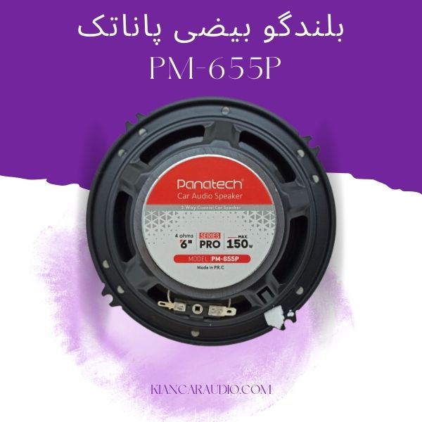 بلندگو بیضی پاناتک PM-655P